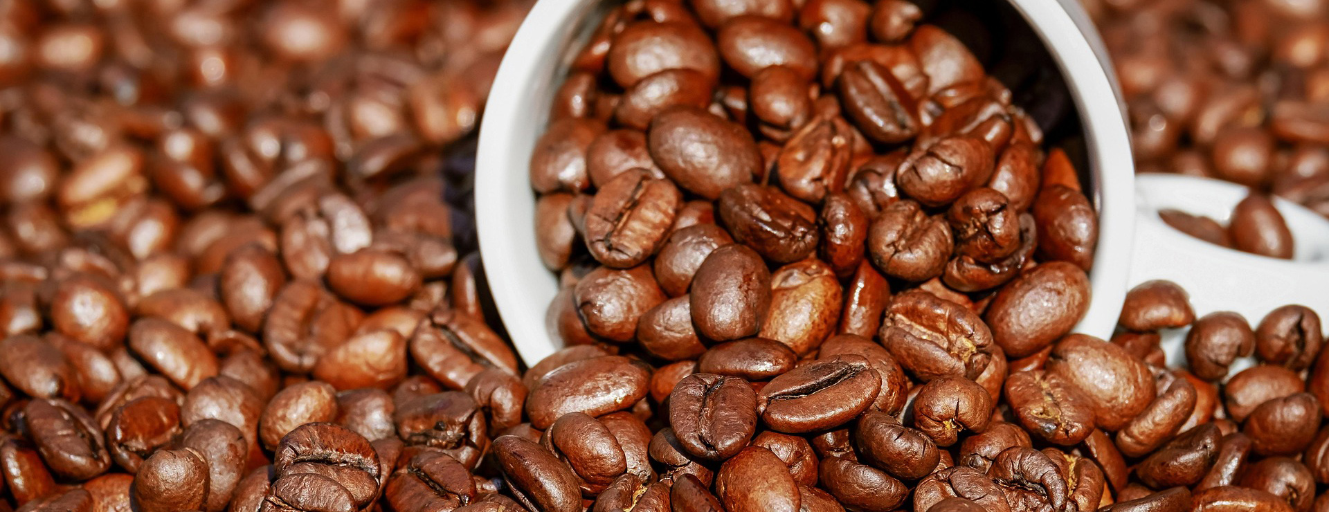 Koffiehuis -Koffiehuis coffee 3392159 1920